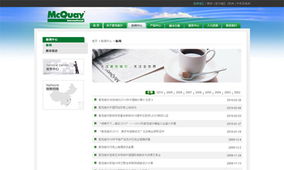 麦克维尔官网建设与数字化营销服务概览